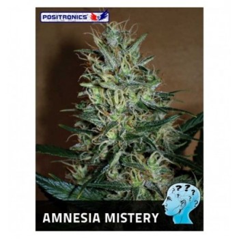 Positronics Amnesia Mistery...