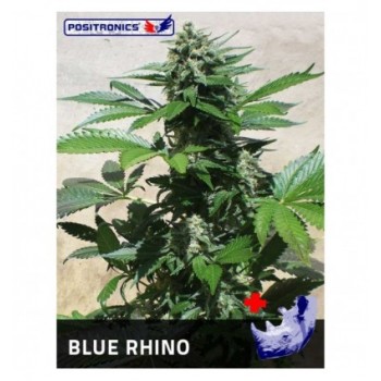 Positronics Blue Rhino...