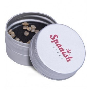 Spanish Seeds Harlequin X...