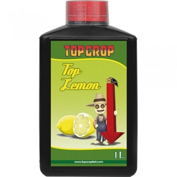 Top Crop top Lemon