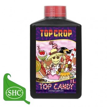 Top Crop Top Candy